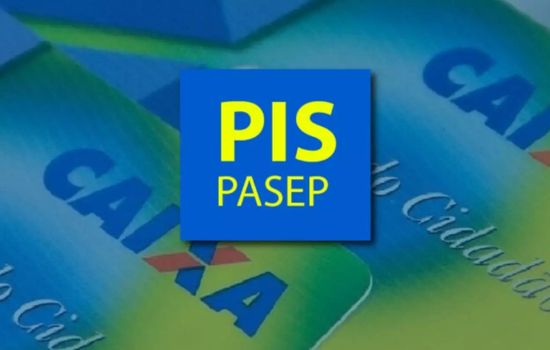 Easily Check Your PIS/PASEP Information with This App