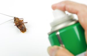 Elimină-le pe cele ieftine din casa ta cu ajutorul acestei aplicații