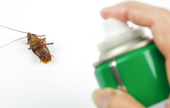 Elimină-le pe cele ieftine din casa ta cu ajutorul acestei aplicații