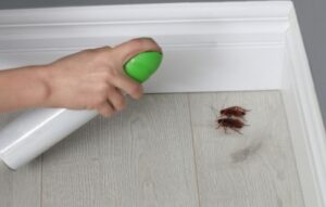 Elimină-le pe cele ieftine din casa ta cu această aplicație specializată